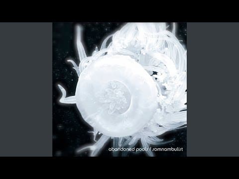 Abandoned Pools -- If Only [Indie Rock/Indie Pop] (2013)