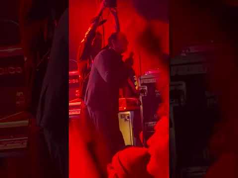 [FRESH PERFORMANCE] Portugal. The Man ft. "Weird Al" Yankovic &amp; Jorma Taccone - Killing In The Name (Rage Against the Machine Cover)