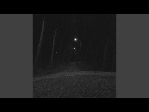 airshade · limedisx. - wandering [Lo-fi House] (2025)