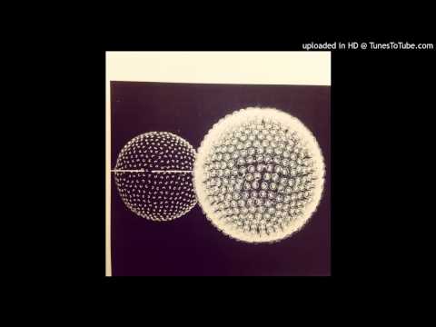 Looking for more songs like this