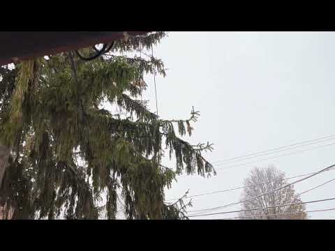 Holiday Season Music