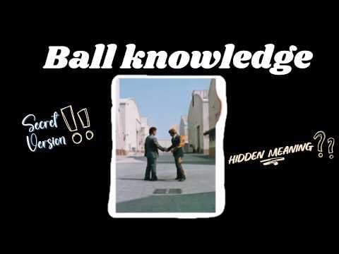 Niche interesting facts about wish you were here