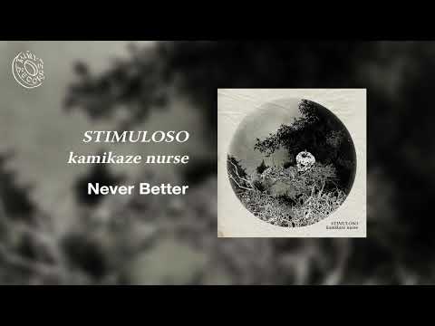 Kamikaze Nurse -- Never Better [indie rock] (2022)