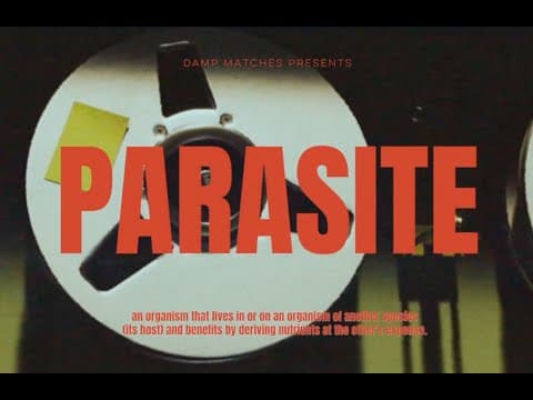 Damp Matches -- Parasite [indie rock] (2025)